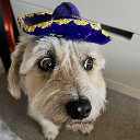 Tobi Jo