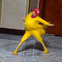 Y31LO