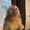 Vqchristiaan