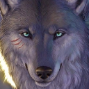 احب زهره تركيا
