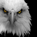 3agLe