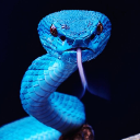 Insularis