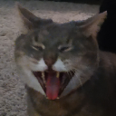 Sel